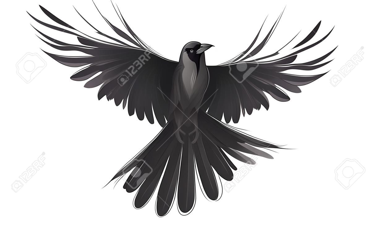 Cuervo negro aislado sobre fondo blanco. Mano dibuja la ilustración de vector de cuervo.