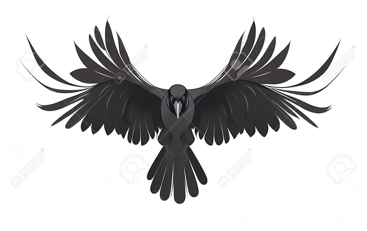 Black raven isolated on white background. Hand drawn crow vector illustration.