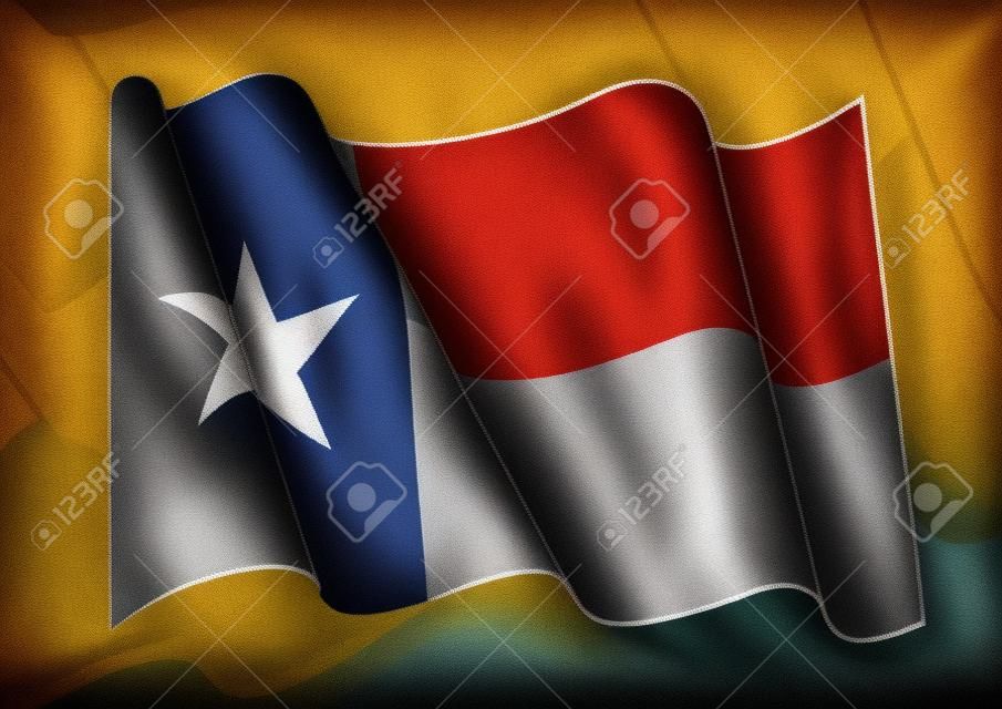 빈티지 텍사스 깃발