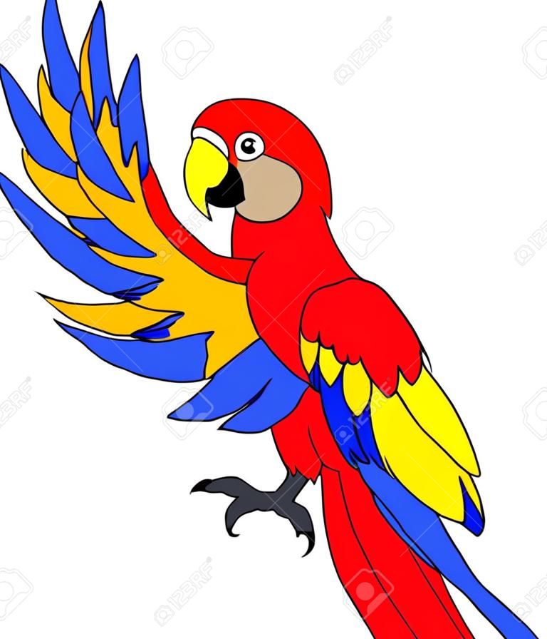 Macaw bird cartoon 