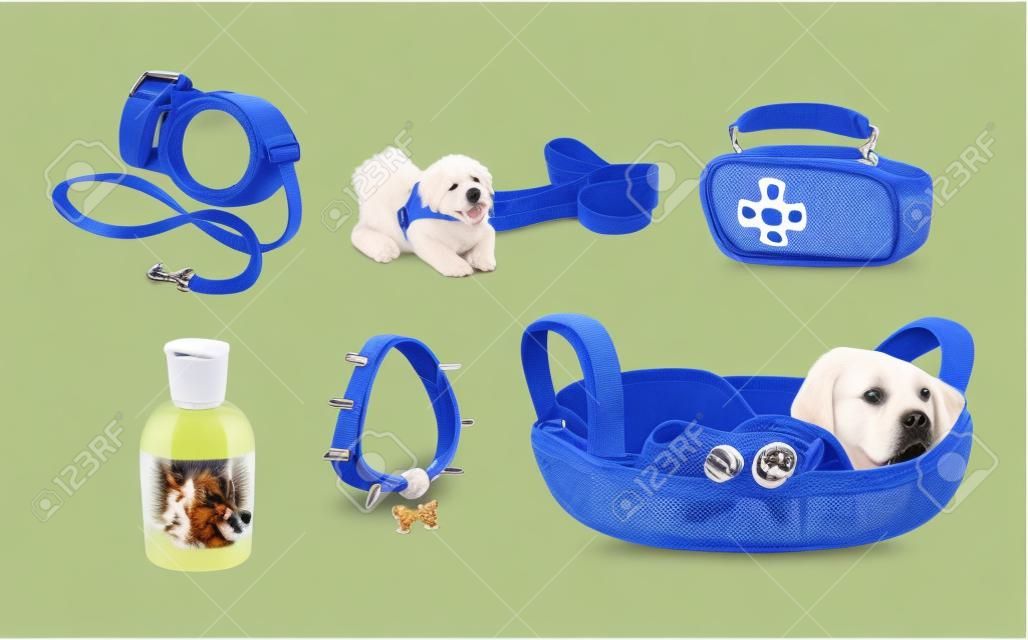Pet accessories: shampoo, basket, bone, leash-collar, first-aid kit, dog colla