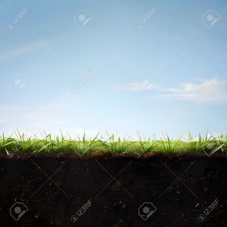 Querschnitt von Gras und Erde gegen den blauen Himmel