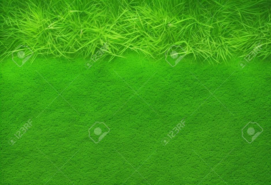 grüne Gras mit Erde, wie die Natur Hintergrund