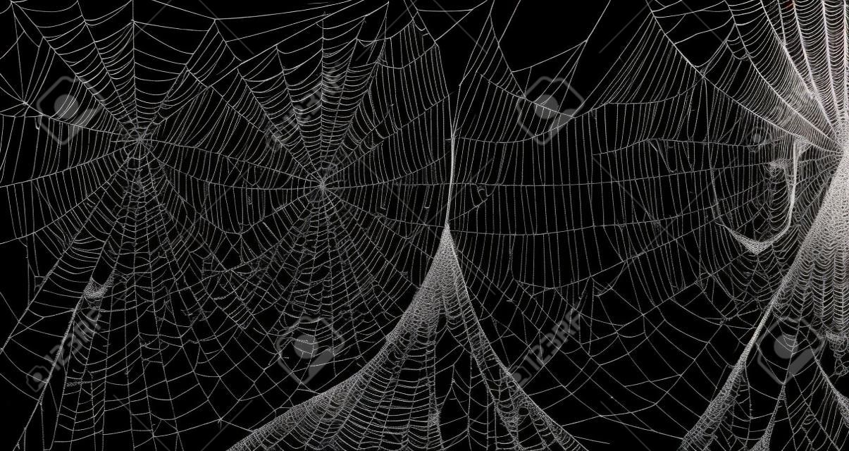 Conjunto de realismo de telaraña. Spiderweb para halloween, espeluznante, aterrador, decoración de terror