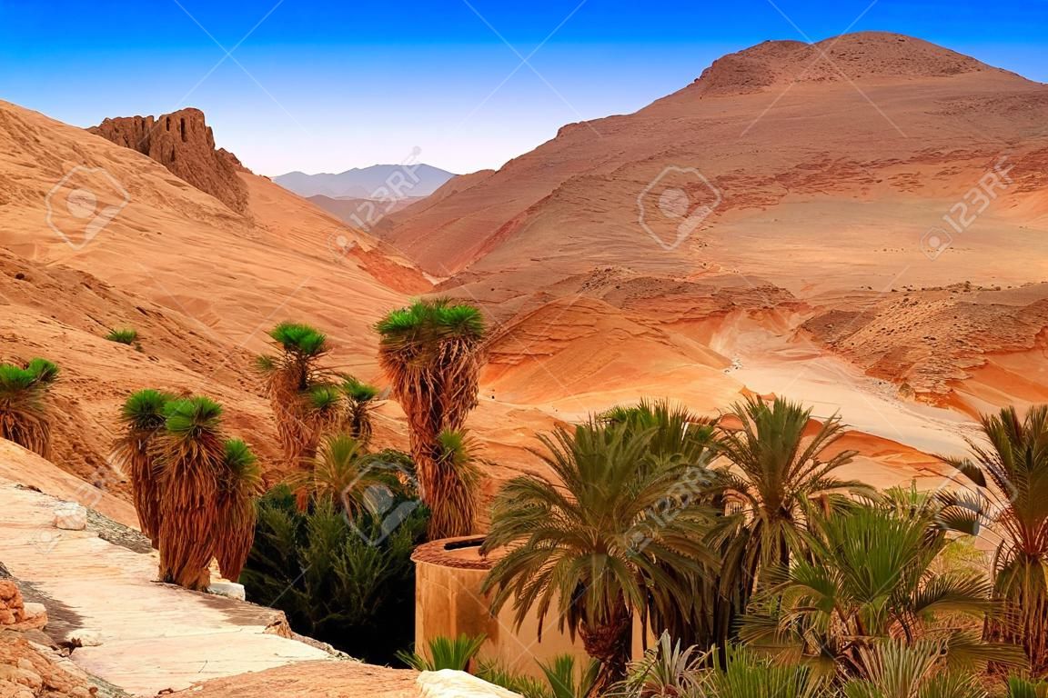 Sahara, Tunus, Afrika sınırında Dağ vaha Chebika
