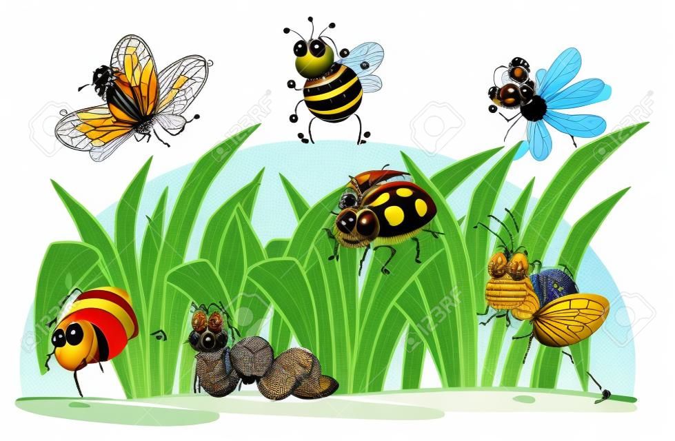 Illustration von verschiedenen Insekten und Gras auf einem weißen Hintergrund