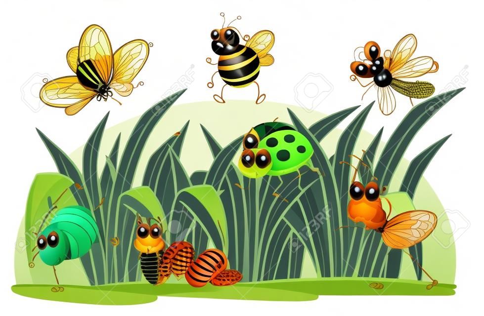 Illustration von verschiedenen Insekten und Gras auf einem weißen Hintergrund