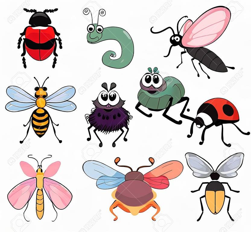 Ilustración de diversos insectos y animales sobre un fondo blanco