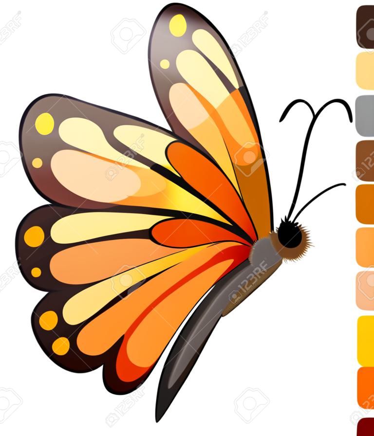 Illustration d'un papillon coloré sur un fond blanc