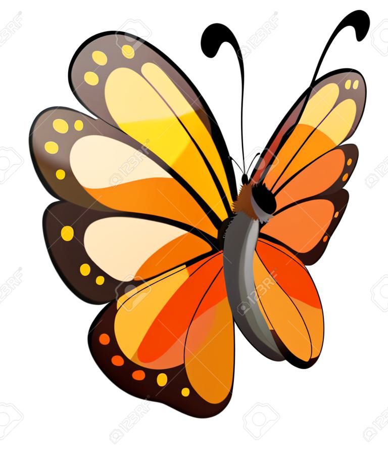 Illustration d'un papillon coloré sur un fond blanc