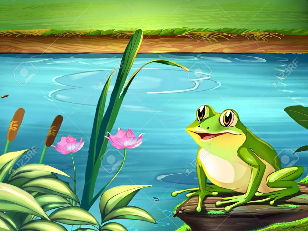 Illustration of a frog at the riverbank