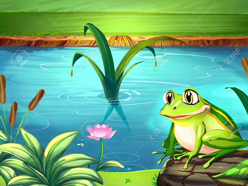 Illustration of a frog at the riverbank