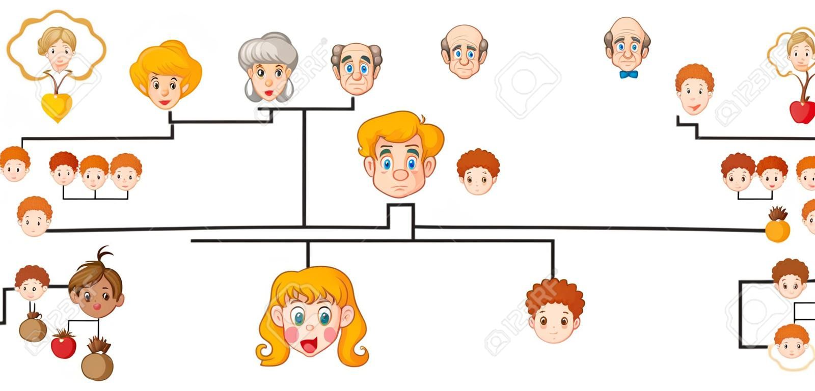 Plakat przedstawiający drzewo genealogiczne