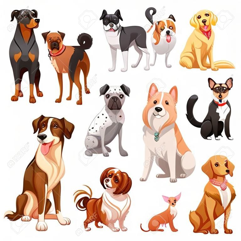 Différents types de chiens petits et grands