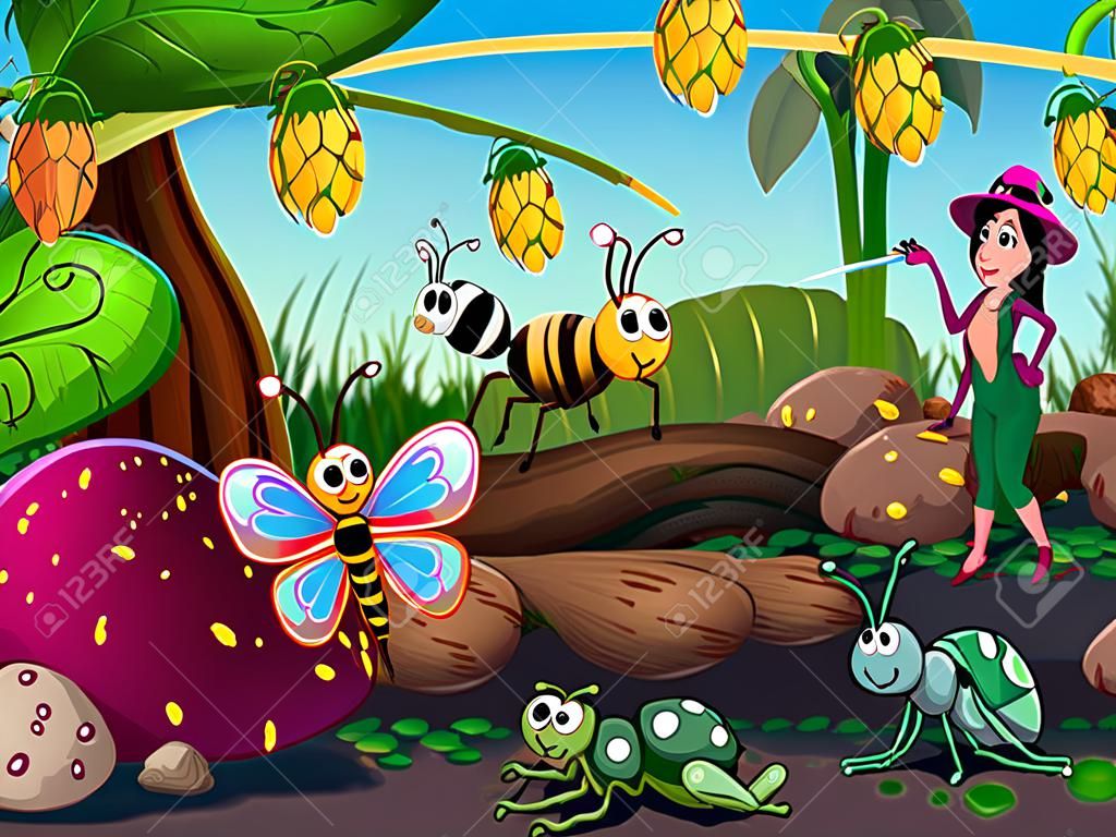 Veel insecten leven in de tuin illustratie