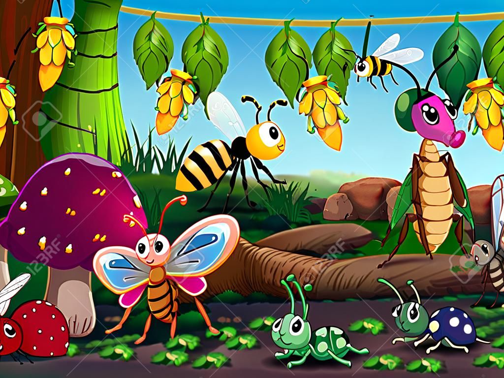 Veel insecten leven in de tuin illustratie