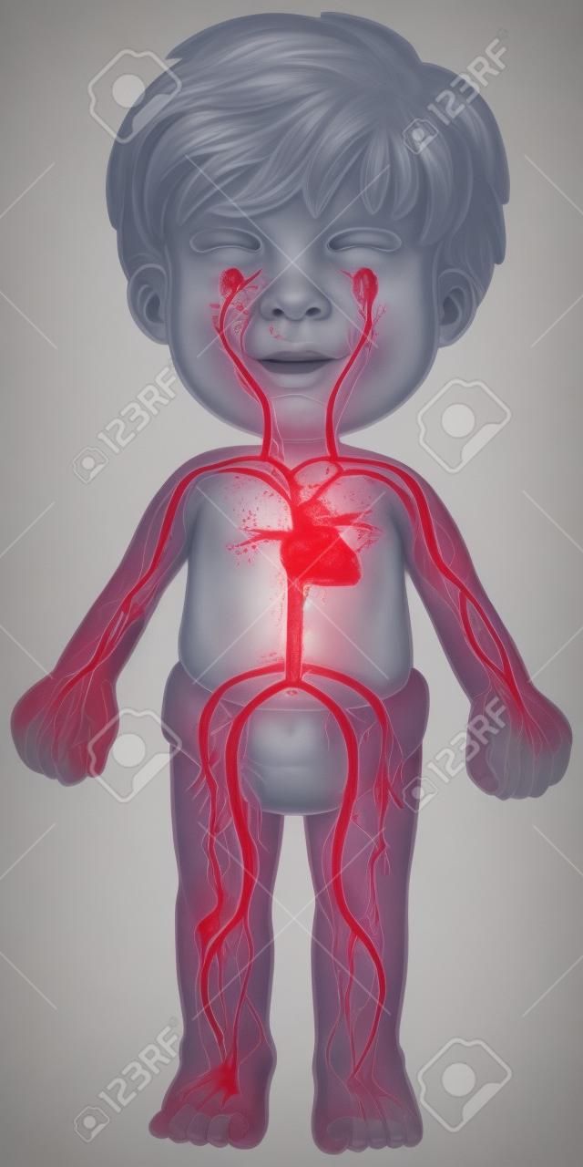 système de sang dans le corps garçon illustration