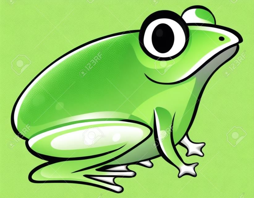 Green frog on white background illustration