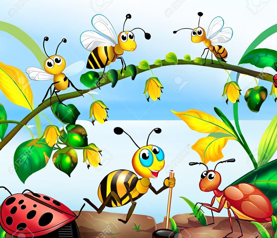 Banda de música de insectos en la ilustración de la naturaleza