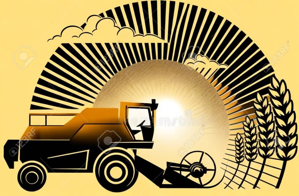 Moissonneuse-batteuse dans un champ de blé des rayons solaires. Vector illustration dans le style gravure. Image peut être utilisé pour concevoir les étiquettes et l'emballage.
