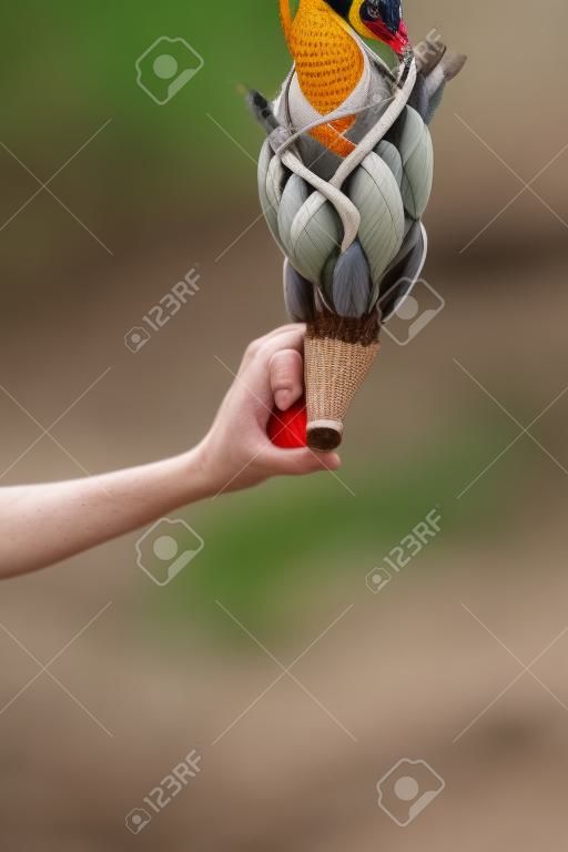 Human hand holding up a shuttlecock