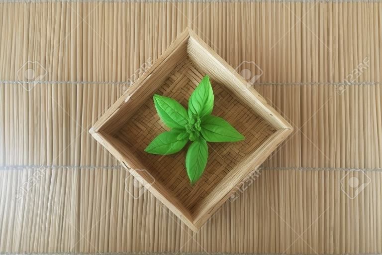 Herbe traditionnelle chinoise Cape Jasmine fruits