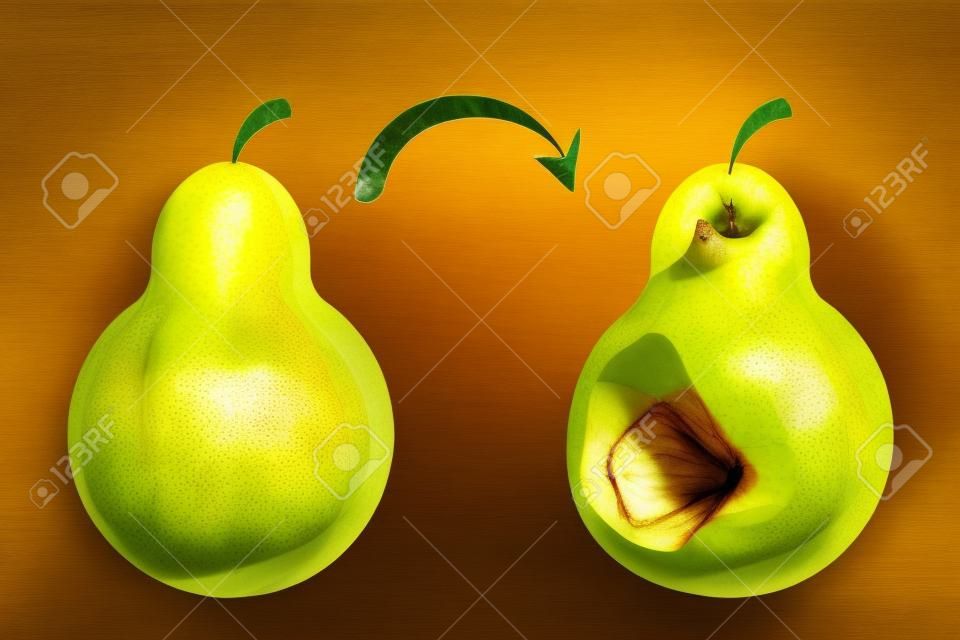 Healthy good pear fruit become bad. Rotten pear, food waste. Poisonous garbage. Dirty meal.