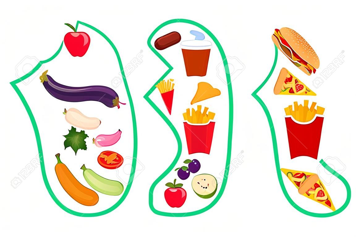 Sano vs cibo spazzatura vettore isolato. Stile di vita malsano con patatine fritte, hamburger e zucchero. Un'alimentazione sana comprende frutta e verdura.