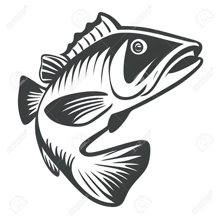 Monochrome fish bass on white background