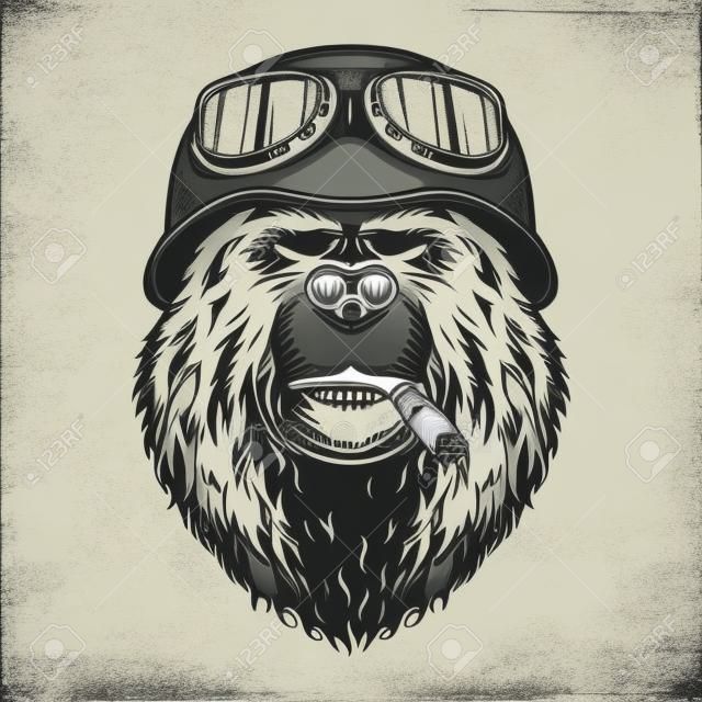 Vintage motociclista monocromatico testa di orso fumando sigaro e indossando casco da motociclista e occhiali isolati illustrazione vettoriale