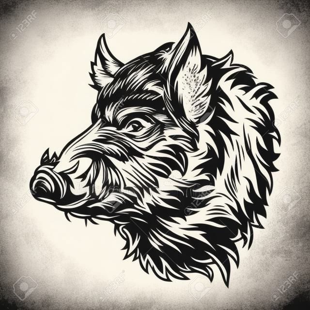 Vintage wild boar head with tusks in monochrome style isolated vector illustration