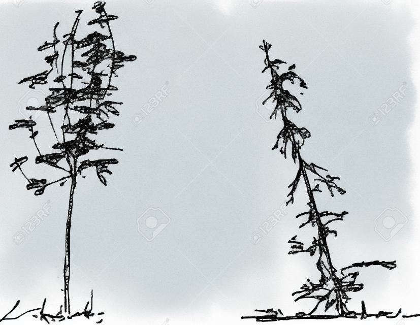 ilustración de los árboles esquemáticos