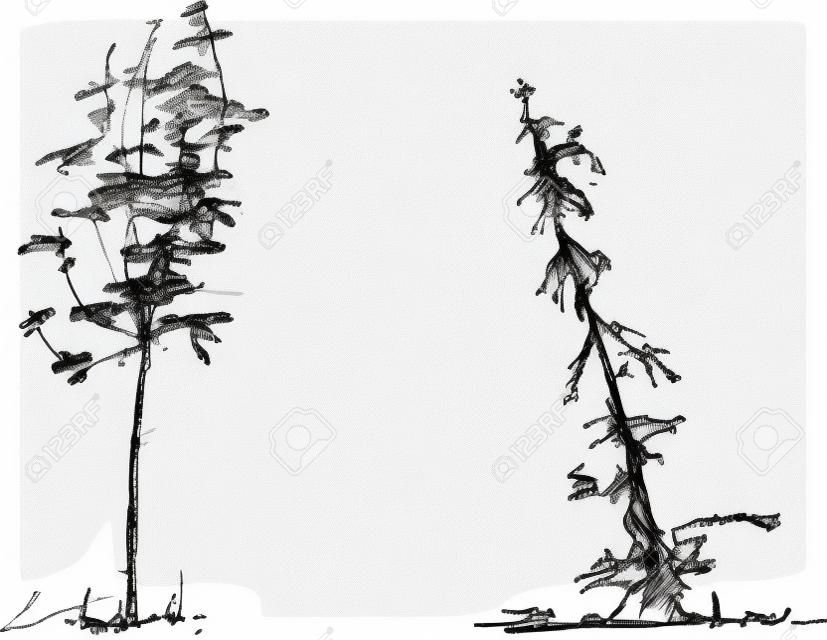 ilustración de los árboles esquemáticos