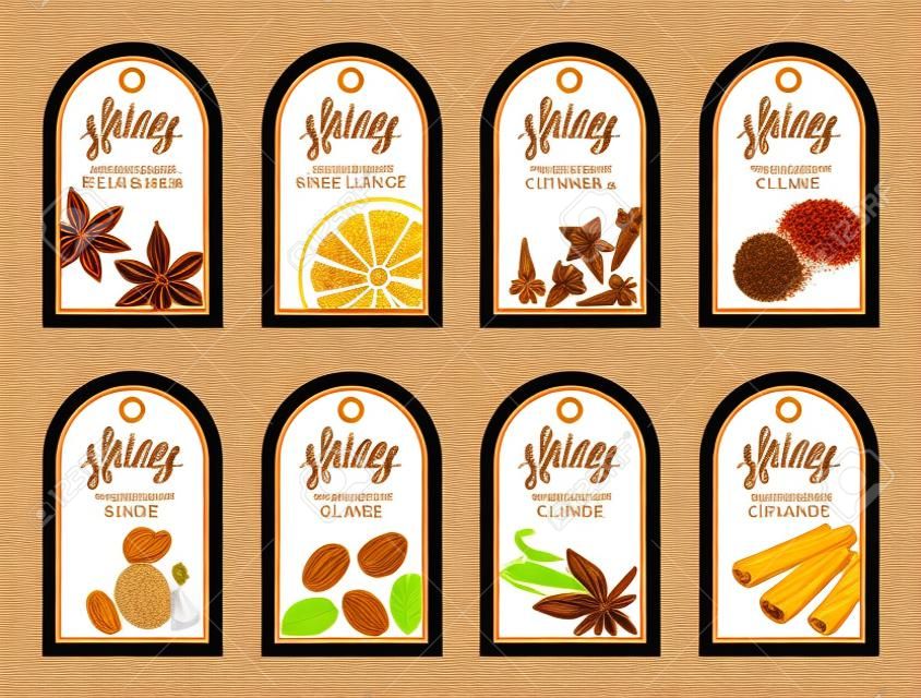 Tags with various spices. Illustration of anise cloves vanilla ginger and cinnamon.