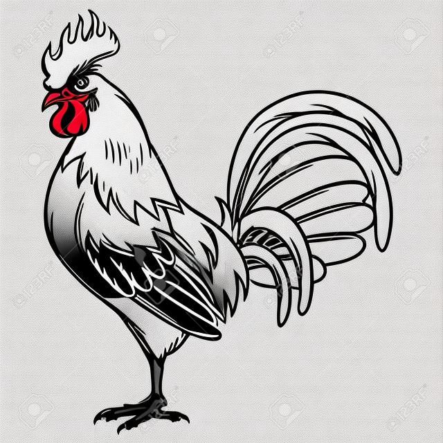 Hand drawn illustration of black rooster on white background.