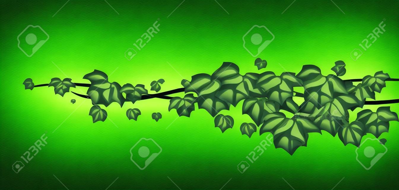 Skręcone dzikie liany gałęzie tło dżungla winorośl rośliny drzewiaste naturalne tropikalne lasy deszczowe
