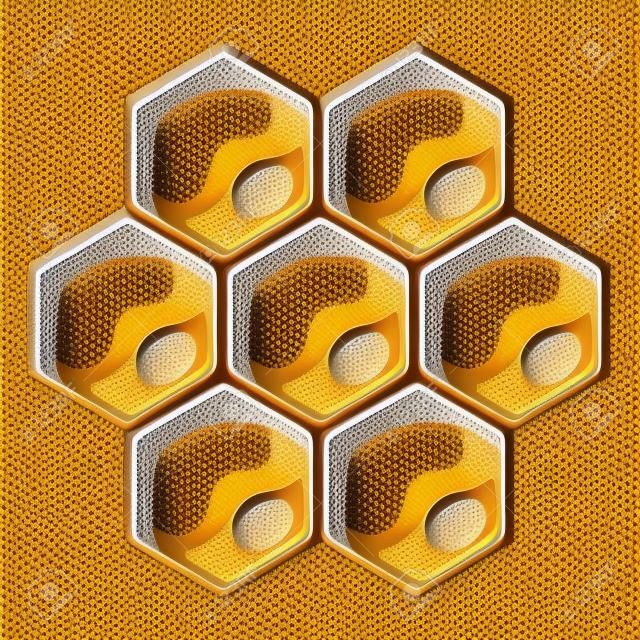Illustration of honeycombs. Image for business, food and agricultural industry.