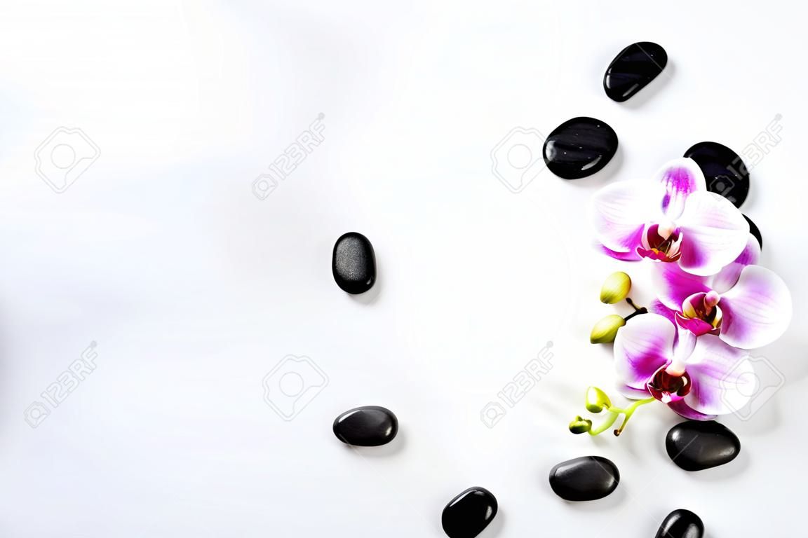 Pedras pretas do spa com vista superior da flor da orquídea no fundo de madeira branco. Fundo da pedra da meditação. Conceito do tratamento do spa do relaxamento.