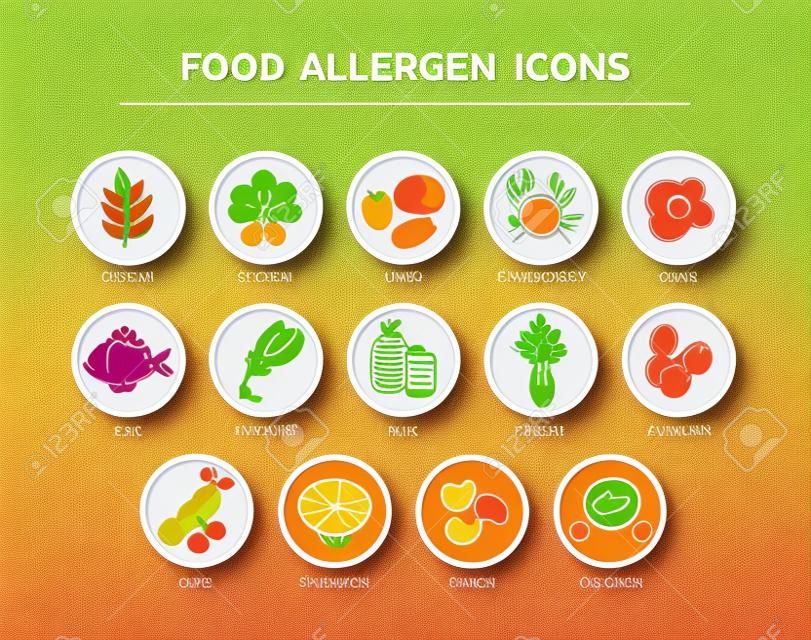 Set di icone di allergia di sicurezza alimentare colorate. 14 ingredienti alimentari che devono essere dichiarati come allergeni nell'UE.