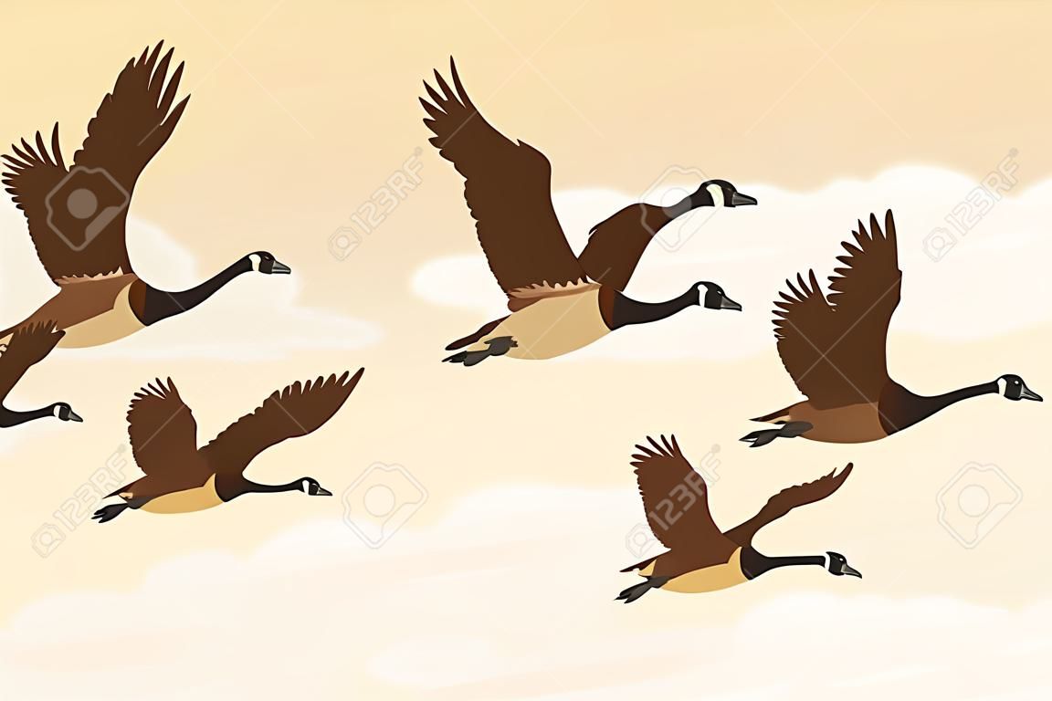 Flock van migrerende ganzen vliegen. Migrerende vogels concept. Vector illustratie.