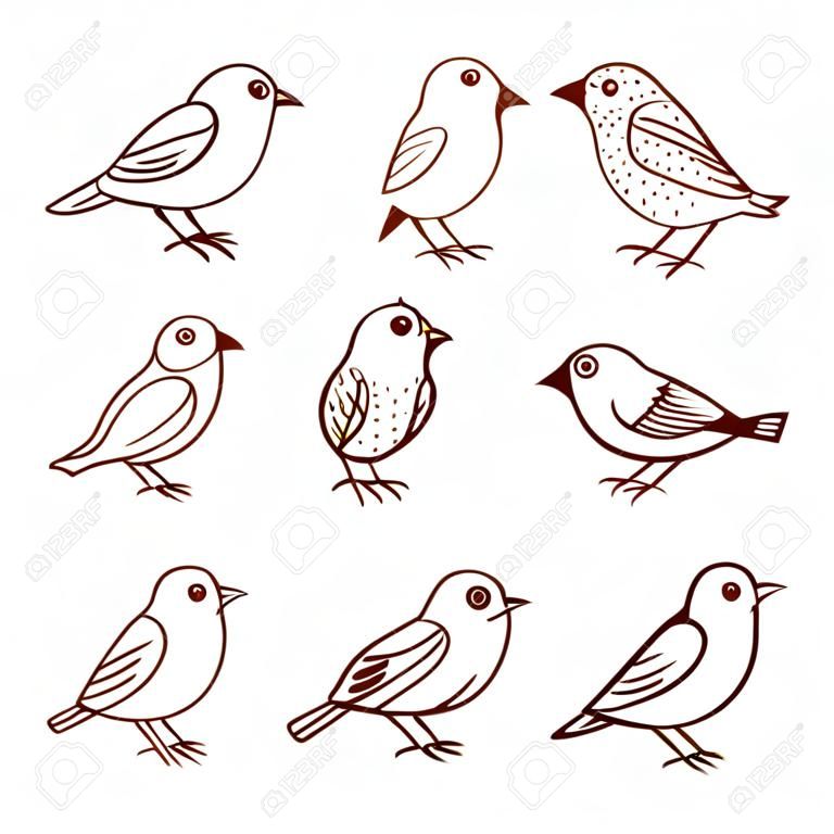Hand getrokken schattige kleine vogels in verschillende poses, geïsoleerd op witte achtergrond. Vector illustratie.