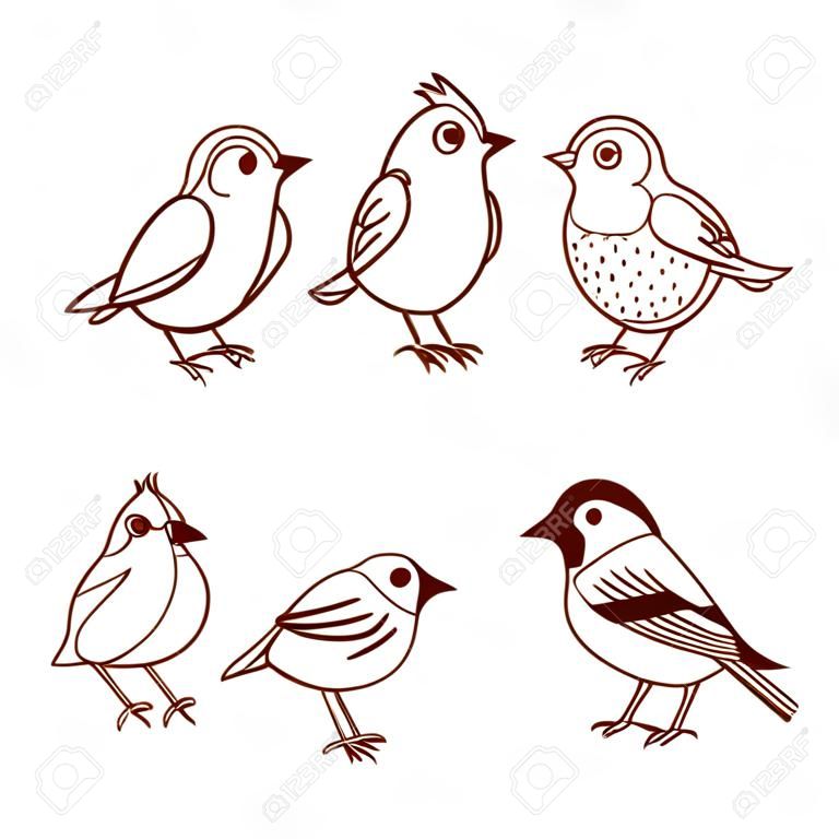 Ręcznie rysowane słodkie małe ptaszki w różnych pozach, izolowana na białym tle. ilustracji wektorowych.