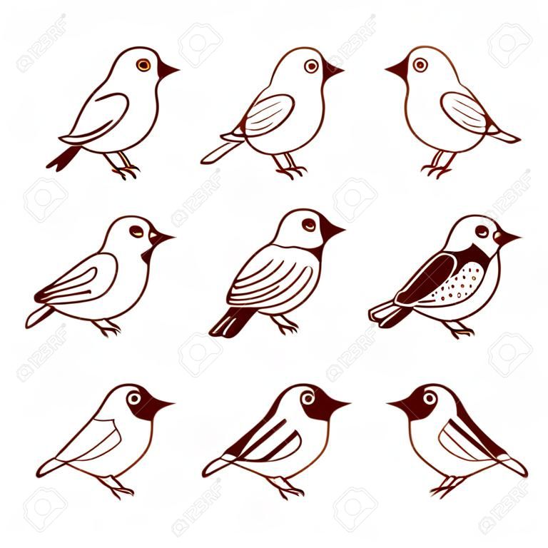 Hand drawn cute little birds in different poses, isolated on white background. Vector illustration.