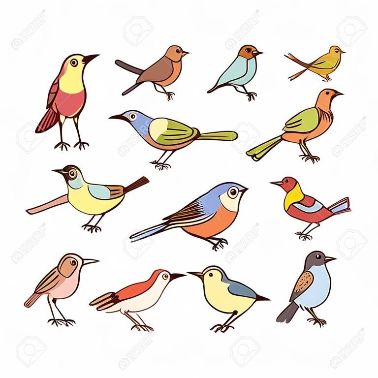 Collection of birds in different poses. Colorful birds isolated on white background. Hand drawn vector illustration.