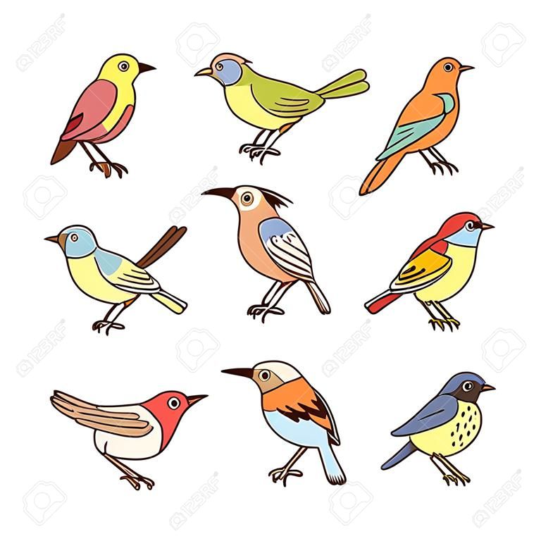 Collection of birds in different poses. Colorful birds isolated on white background. Hand drawn vector illustration.