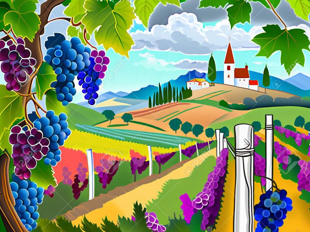 Rural landscape with vineyard and grapes bunches
