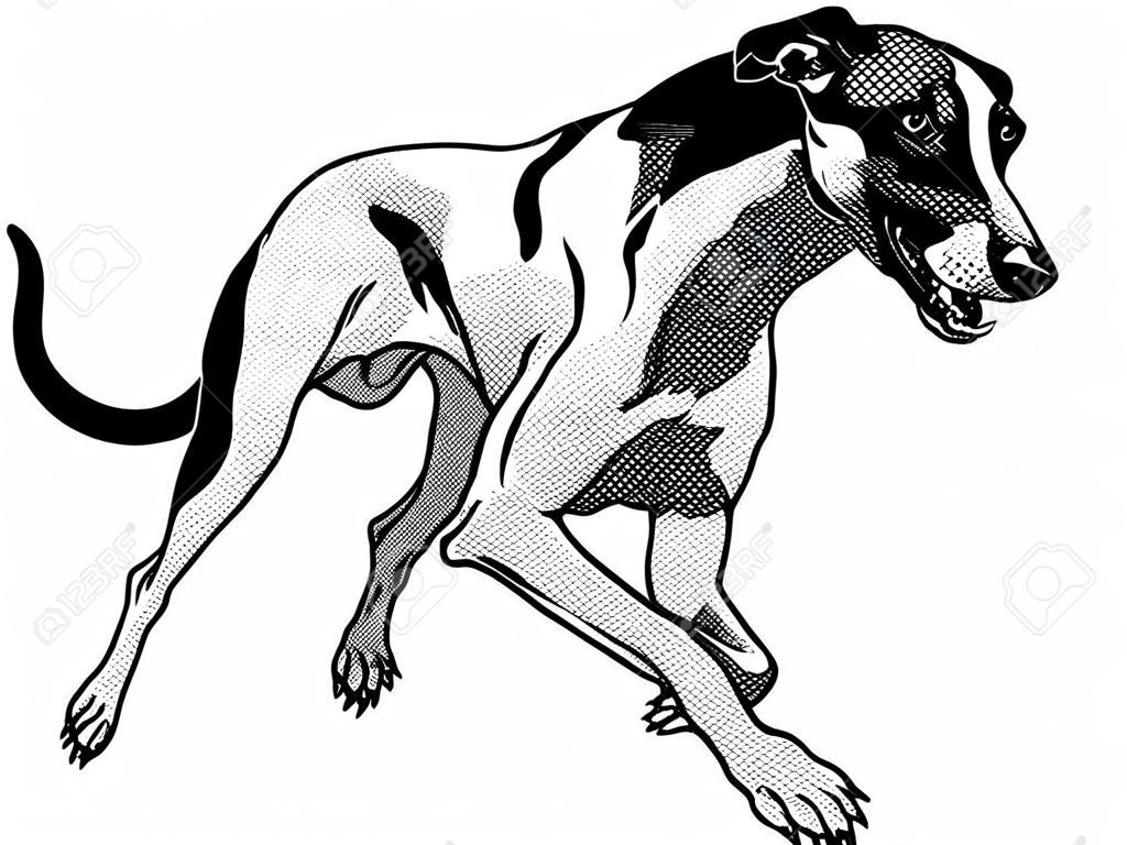 犬、英語グレイハウンド犬、黒と白のイラストを実行しています。