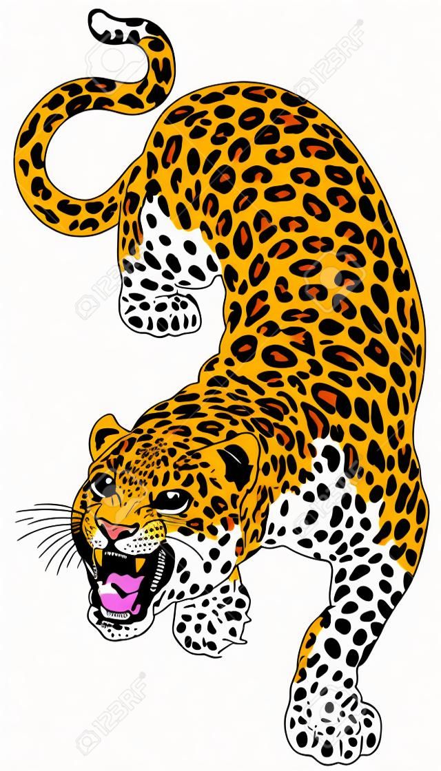 豹紋身插圖隔絕在白色背景