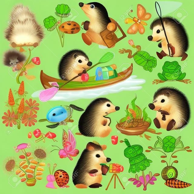 conjunto com toupeira e ouriço explorando o mundo dos insetos, imagens de desenhos animados isolados para crianças pequenas