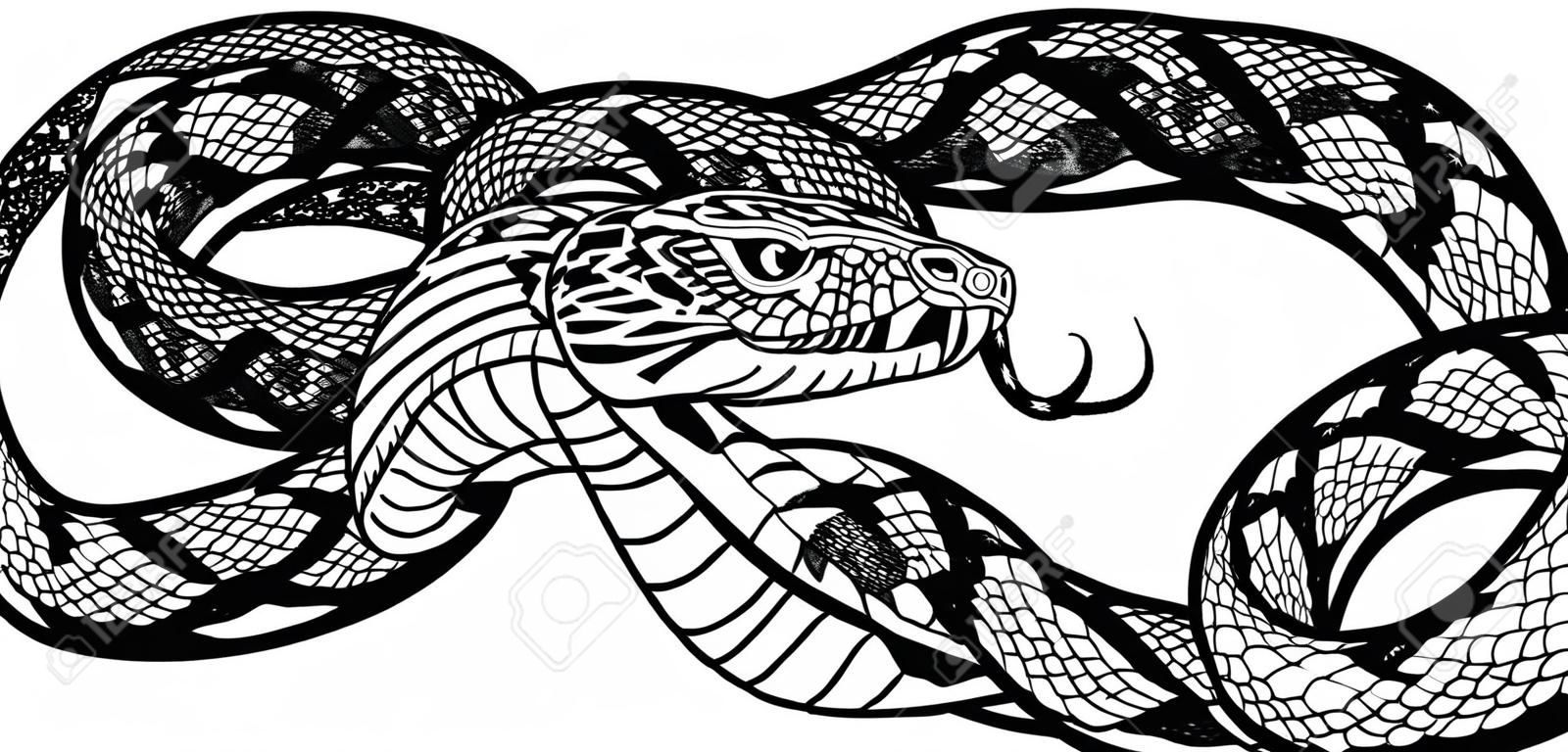Serpente aggressivo arrotolato. Illustrazione vettoriale di stile tatuaggio in bianco e nero